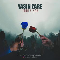 Yasin Zare – Toole Sag